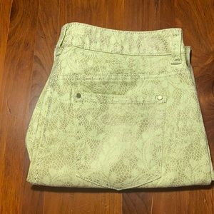 Chico’s 0.5 Skimmers Lime Green Gold Print